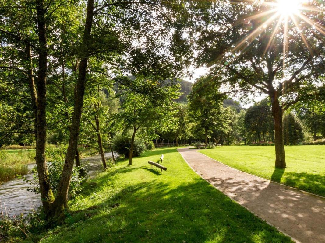 Ferienwohnung Kurparkblicksauerland لينهشتات المظهر الخارجي الصورة